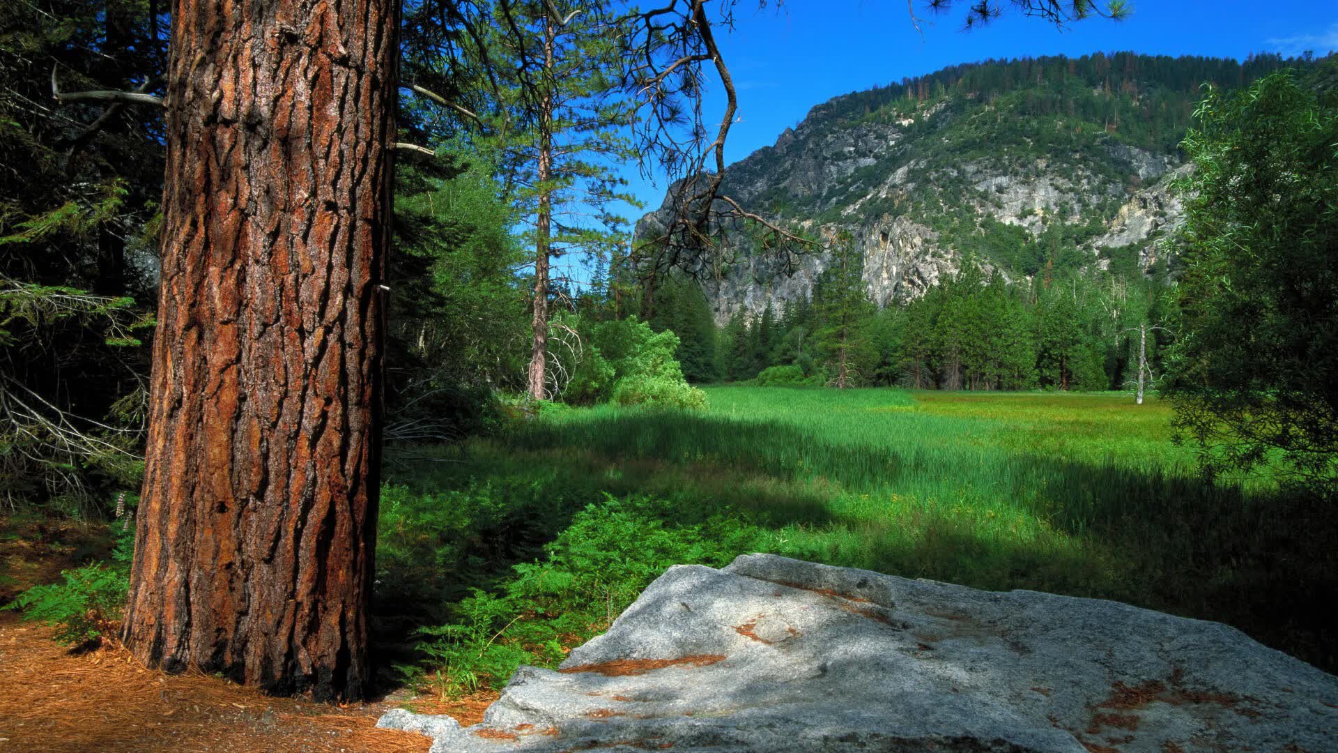 世界乒坛明星教练巡讲第63季城市名单公布，世界乒联名人堂